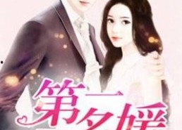 娱乐吃瓜君名媛是谁啊小说,名媛背后的神秘故事