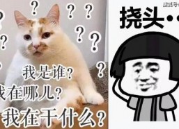 娱乐吃瓜酱专属梗图片,图解娱乐圈那些事儿